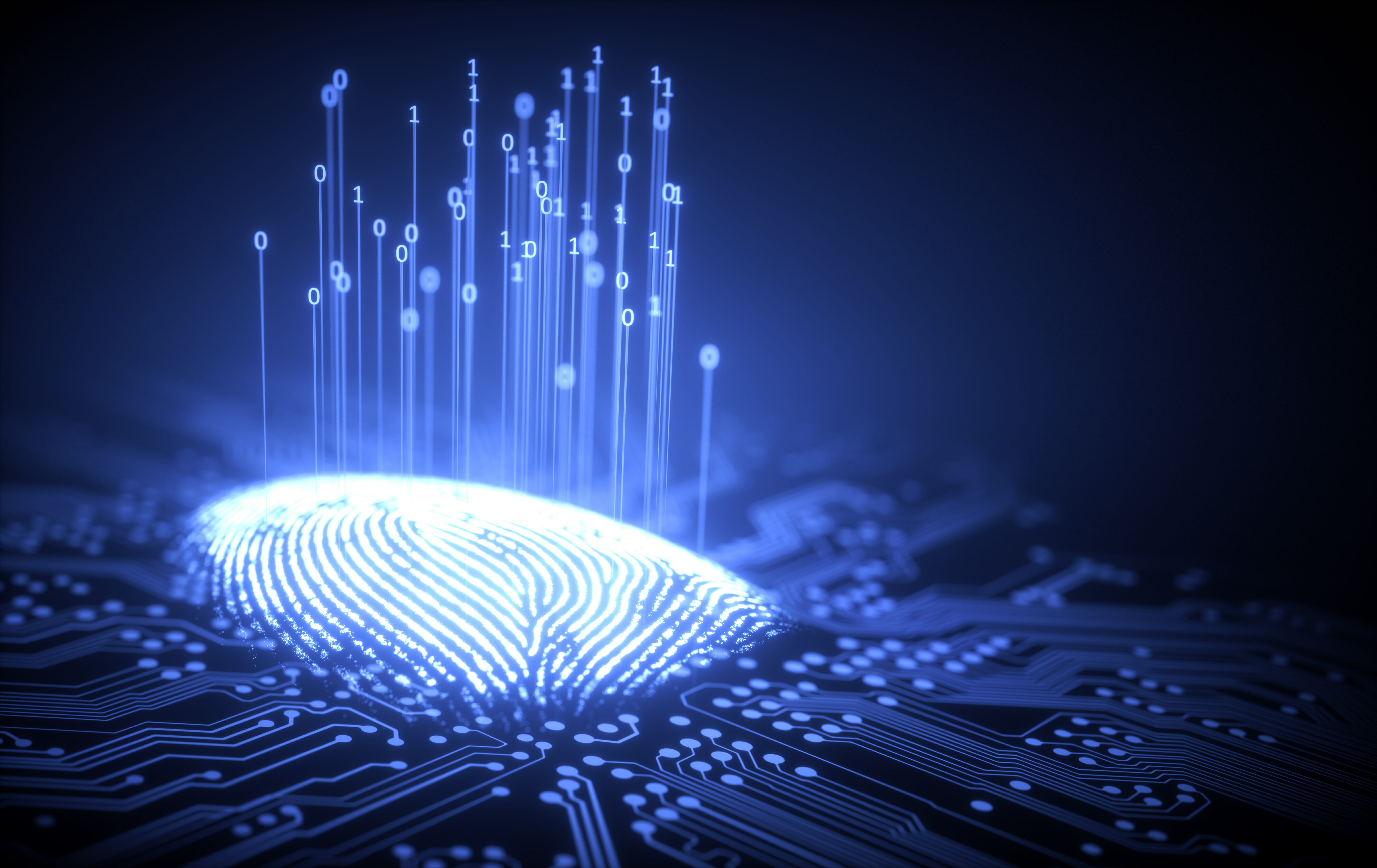 Fingerprint integrated in a printed circuit, releasing binary codes